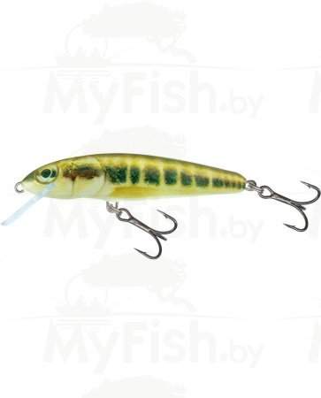 Воблер SALMO PL M 5 F-M Minnow, арт.: M5F-M