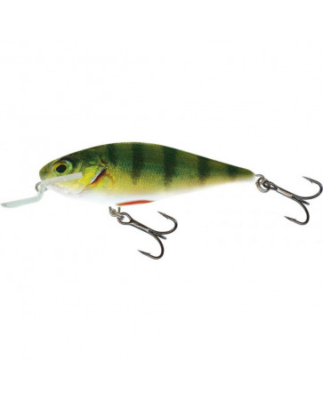 Воблер SALMO PL IEX 12 SR-RHP Executor, арт.: QEX022