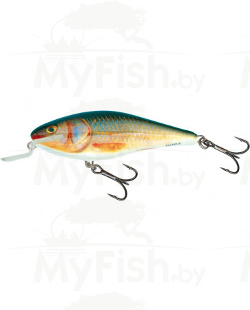 Воблер SALMO PL EX 12 SR-RR Executor, арт.: EX-120-SR-RR