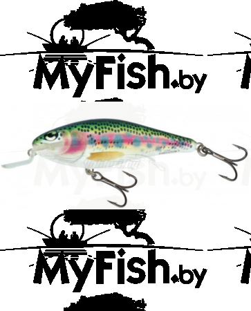 Воблер плав. Salmo EXECUTOR EX-070-SR-RBT, арт.: EX-070-SR-RBT