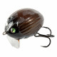 Воблер SALMO LIL'BUG BG2-MBG