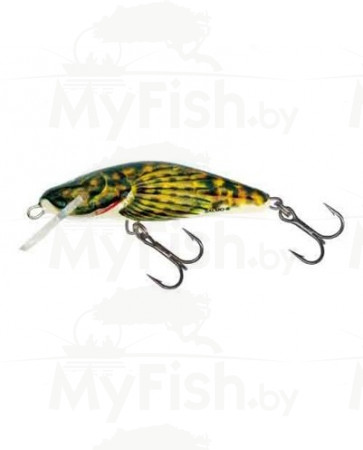 Воблер Salmo Bullhead Floating, 4.5cm, 3g (BD 4 F-BD) QBD001, арт.: QBD001