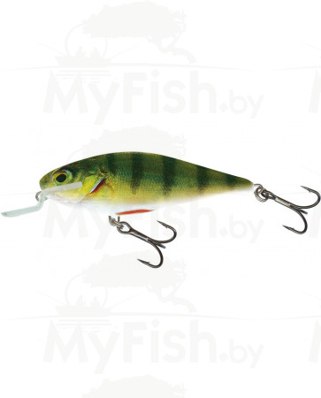 Воблер SALMO PL EX 12 SR-RPH Executor, арт.: EX-120-SR-RPH