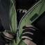 Под заказ!!! Костюм Finntrail LIGHTSUIT 3503 Green, арт.: 3503Green-FINN-SB