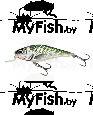 Воблер плав. Salmo EXECUTOR EX-070-SR-EF, арт.: EX-070-SR-EF