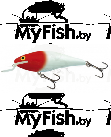 Воблер плав. Salmo EXECUTOR EX-070-SR-RH, арт.: EX-070-SR-RH