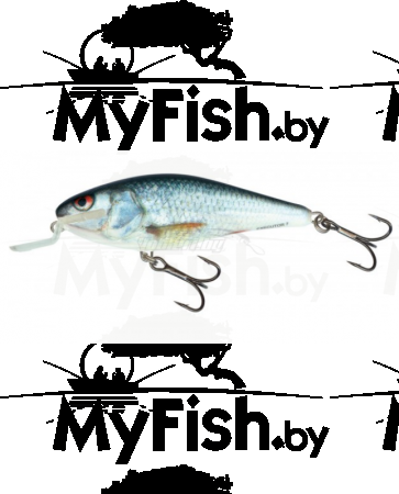 Воблер плав. Salmo EXECUTOR EX-070-SR-RD, арт.: EX-070-SR-RD