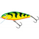 Воблер SALMO PL PH 8 F-GT Perch