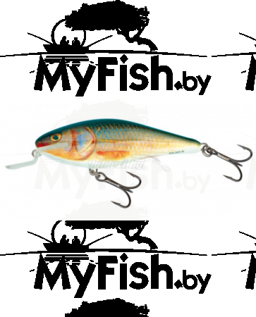 Воблер плав. Salmo EXECUTOR EX-070-SR-RR, арт.: EX-070-SR-RR