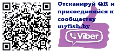 Сообщество в VIBER!